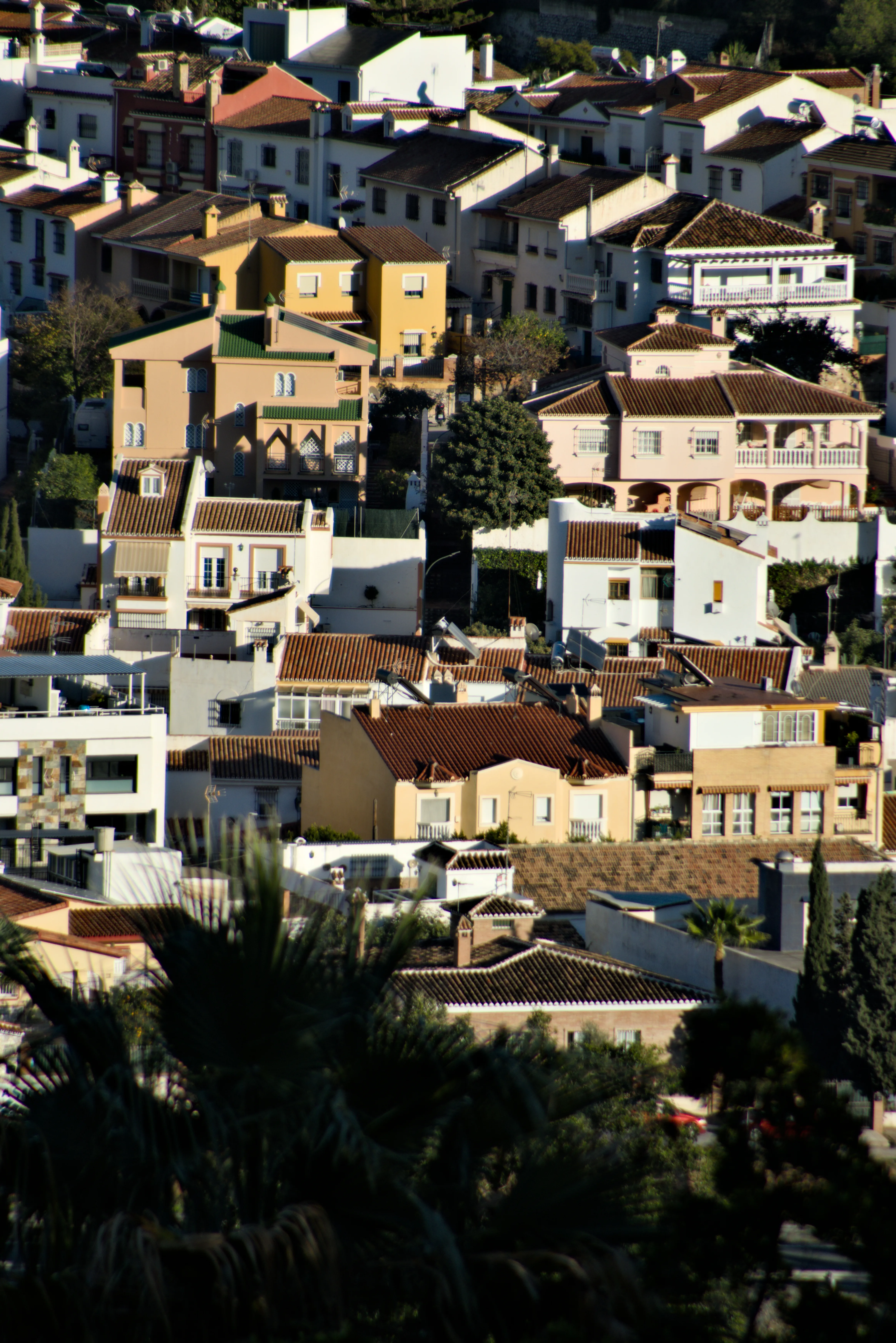 Tamron 28-300mm F3.5-6.3 (EF) - _I4A6033.webp